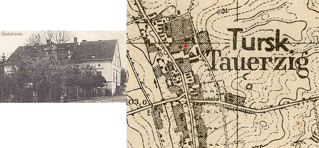 tursk tauerzig